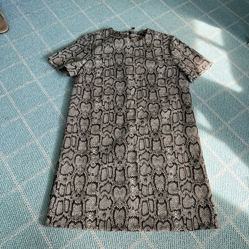 Zara snake skin dress